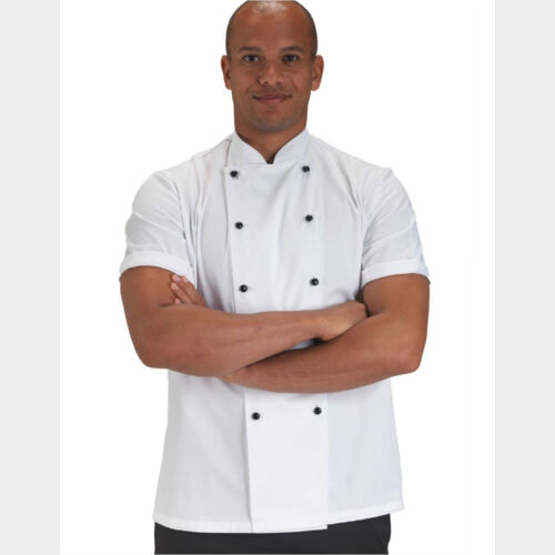 Removable Stud Short Sleeve Chef's Jacket Thumbnail